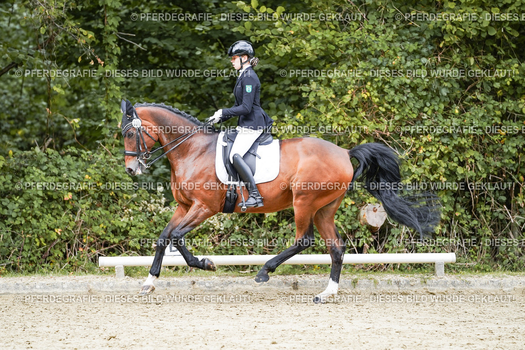 DSC07773 | Pferdegrafie