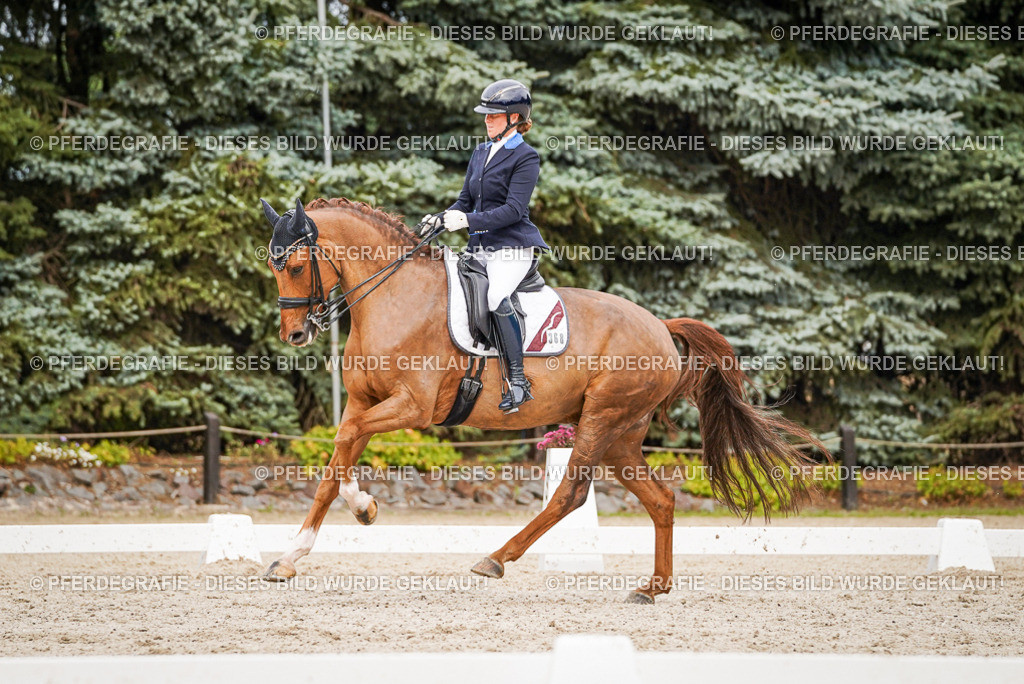 DSC07450 | Pferdegrafie