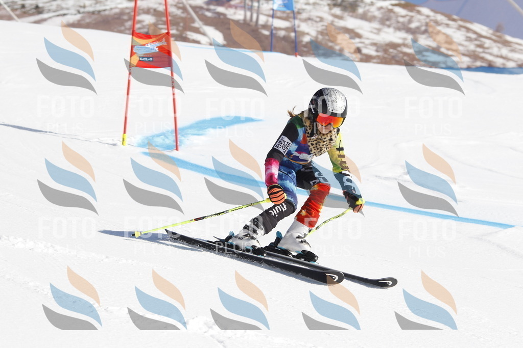 _U3G8573 | holidayphoto