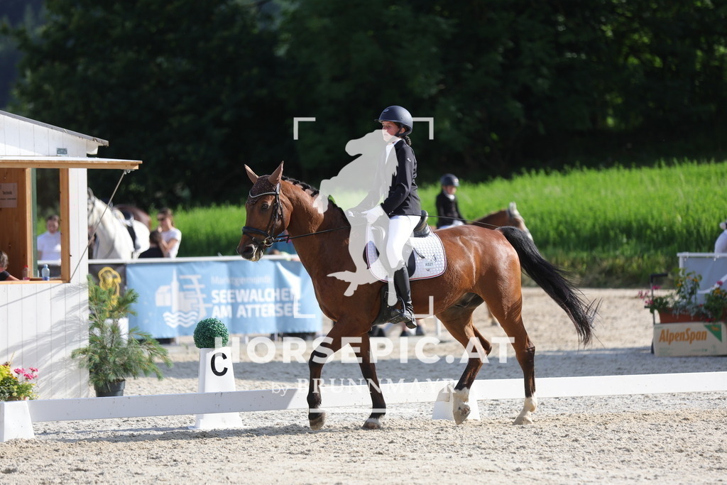 0P6A7326 | Willkommen bei Brunnmayr - Design & Fotografie – Ihrem Spezialisten für Reitturniere und Pferdeveranstaltungen in Oberösterreich, Salzburg und Bayern! Seit über 17 Jahren sind wir leidenschaftlich dabei.