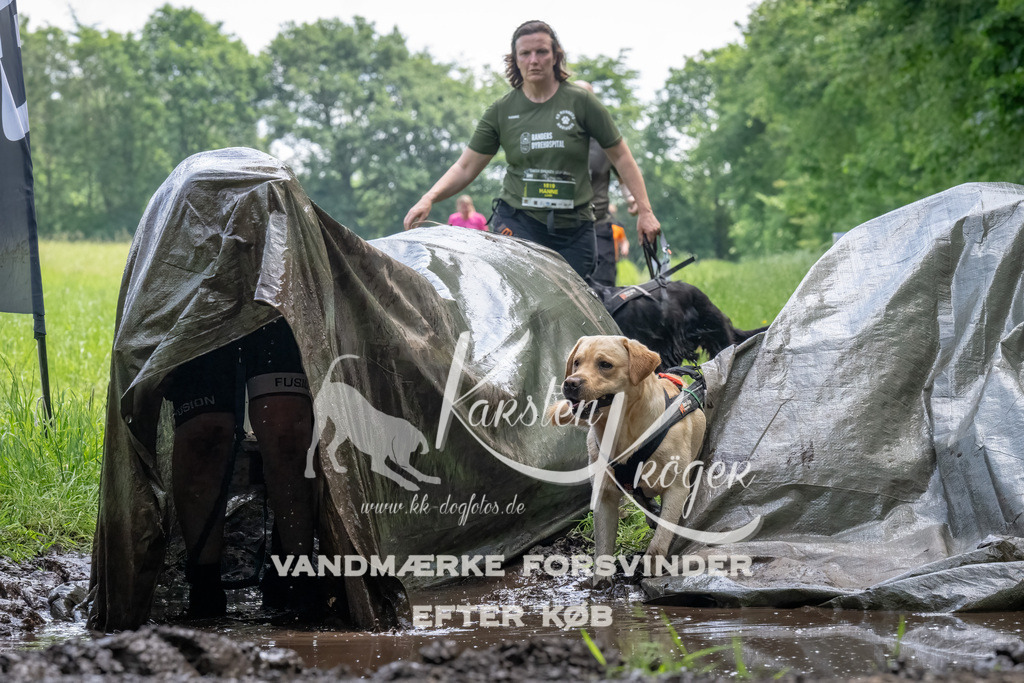 1142_ZZ94001-Bearbeitet | kk-dogfotos