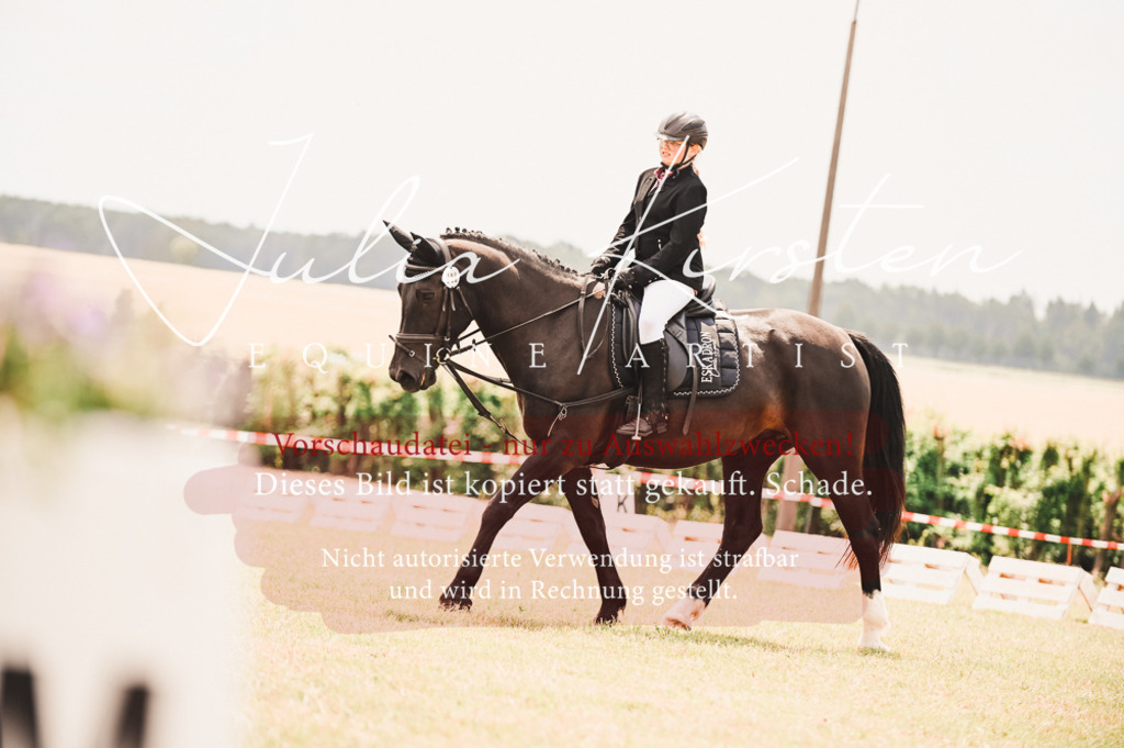 DSC_6215 | Pferde- und Turnierfotografie in Westsachsen. Pferdeportraits, Auftragszeichnungen und intuitive Kunst.