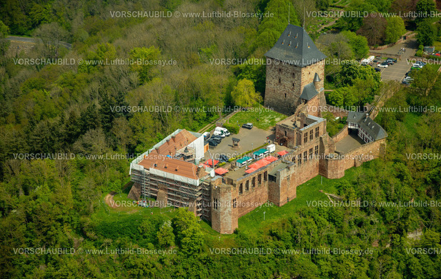 Nideggen240501761 | Luftbild, Renovierungsarbeiten an der Ruine der Burg Nideggen im Waldgebiet, Höhenburg und Wahrzeichen der Nordeifel im Naturpark Hohes Venn-Eifel, Hügel und Täler, Nideggen, Nordrhein-Westfalen, Deutschland