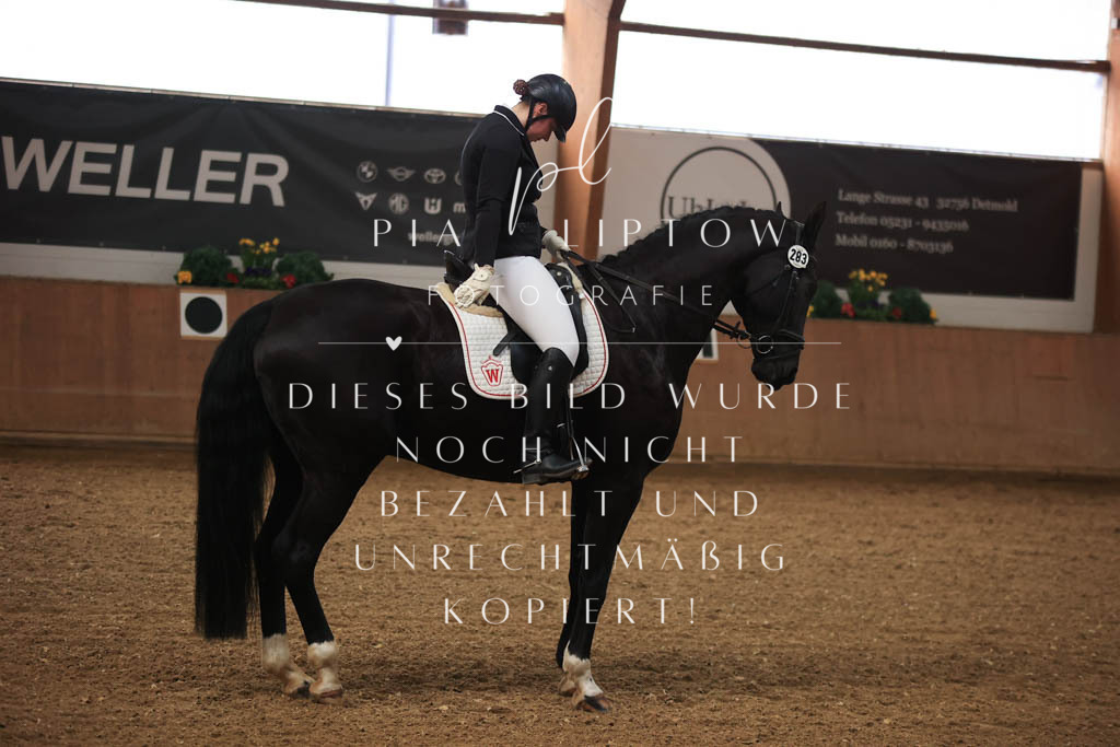 IMGT8685 | pl-fotografie