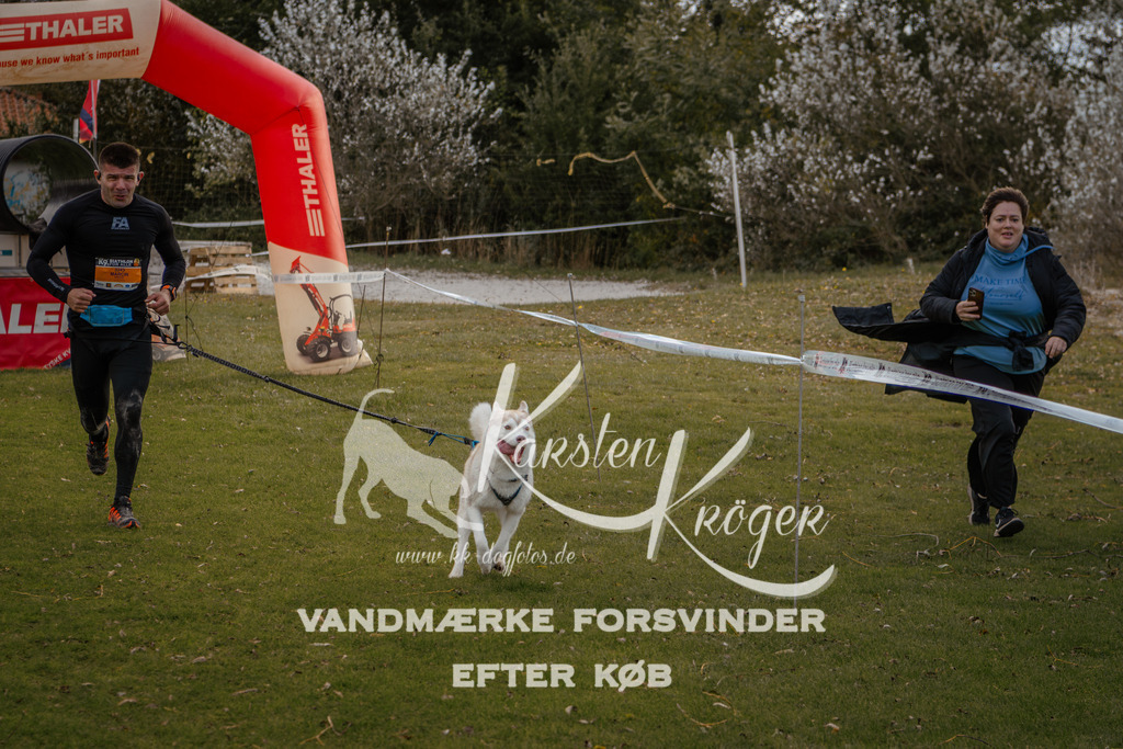 1341_ZZ91783-2 | kk-dogfotos