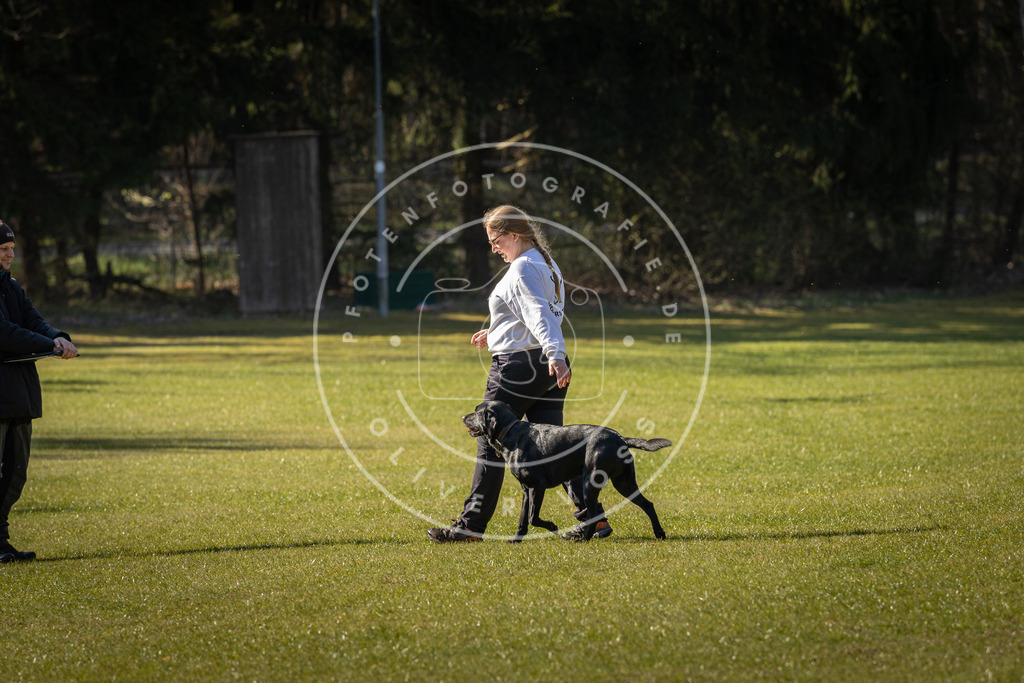 Pfotenfotografie_DV3A0260 | Hundefotografie, Tierfotograf, Pfotenfotografie, Fotoshooting Hund, Hunde Portrait, Hundesport, Hundeportraits, Heideshooting, Hunde, Sportfotograf, Hundefotograf, Turnierhundsport, THS,  - Realisiert mit Pictrs.com