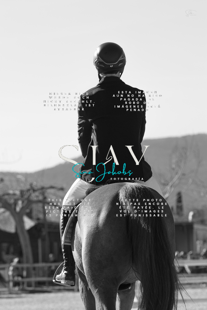 IMG_1607 | s-jay-photography - Realisiert mit Pictrs.com