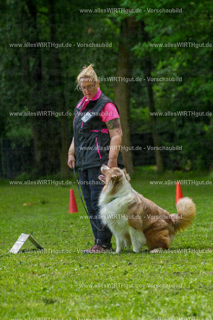 @allesWIRTHgut_Tierfotografie - www.allesWIRTHgut.de - 7R504983 | Professionelle Tierfotografie in Mönchengladbach von Daniel Wirth (allesWIRTHgut). Liebevolle & natürliche Bilder von Hunden & Katzen für unvergessliche Erinnerungen.