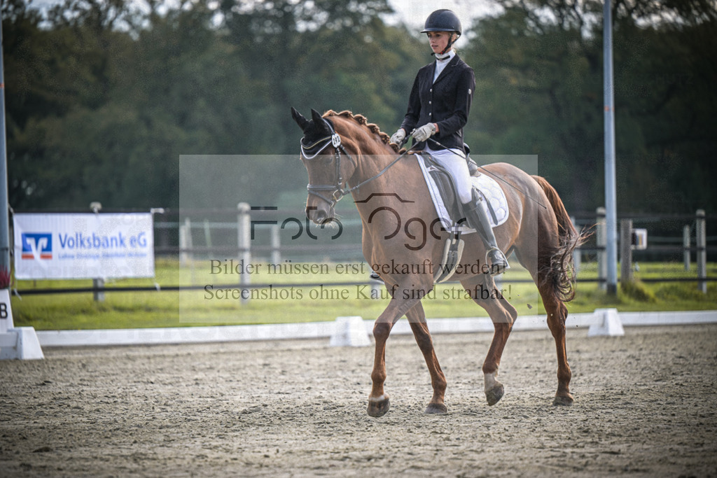 DOS_B103 | Entdecke hochwertige Reitturnierfotos von Foto Oger. Professionell, emotional und authentisch – jetzt Lieblingsmomente im Shop bestellen.Deutschlandweite Turnierfotografie. - Realisiert mit Pictrs.com