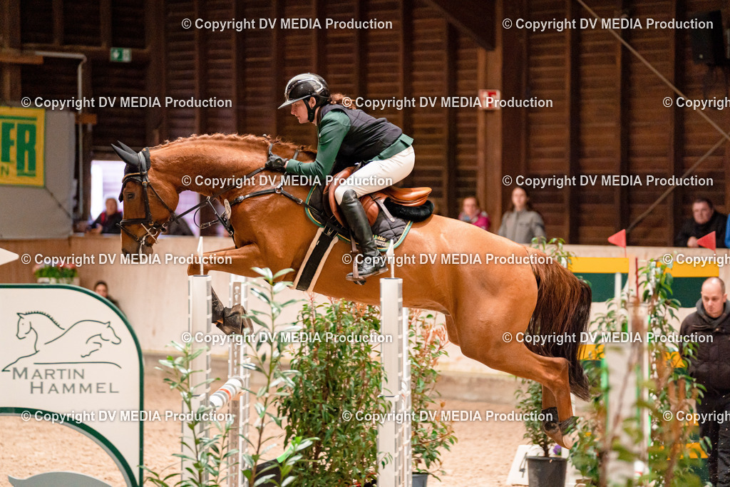 Springen Tag 1-334 | dv-media-shop - Realisiert mit Pictrs.com