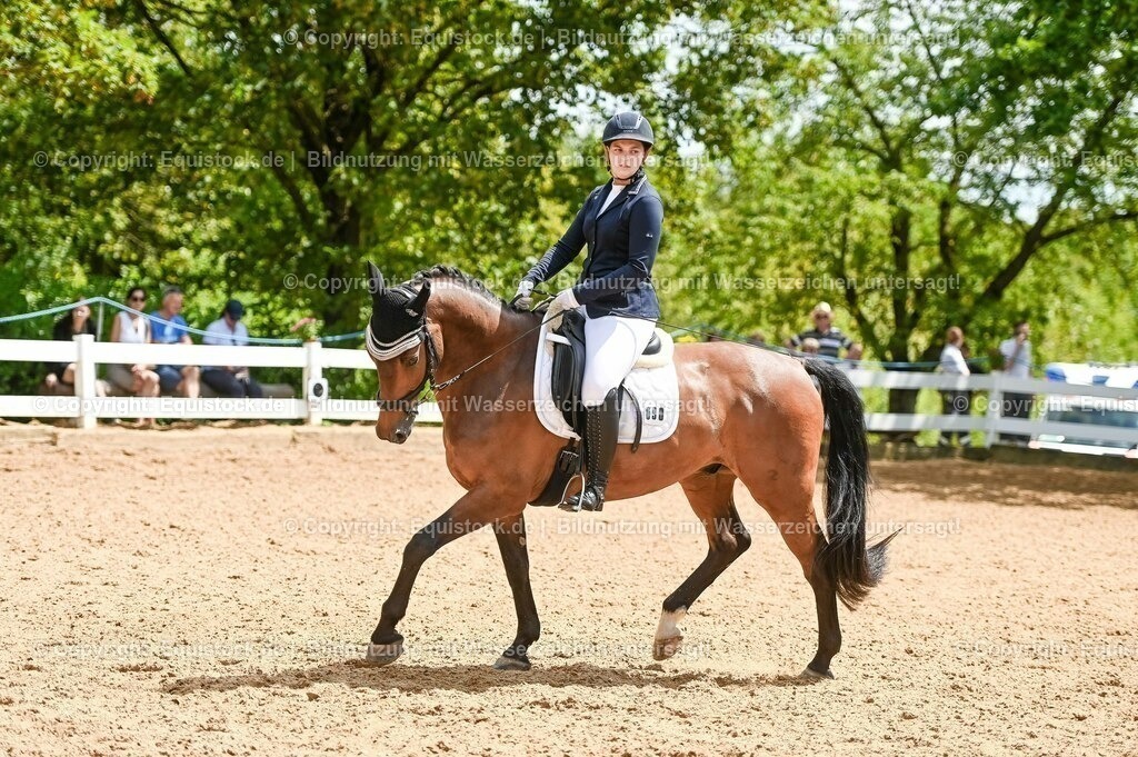 20230716_03_Dressurprfg. Kl.L - Tr._0663 | equistock