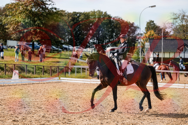 2026_10_03_Siefer-Hof_133620_Z63_96793895 | Professionelle Reitsport-, Turnier- und Eventfotografie von Robert Broda. Galerien mit ausgewählten und bearbeiteten Bildern direkt online ansehen und bestellen.