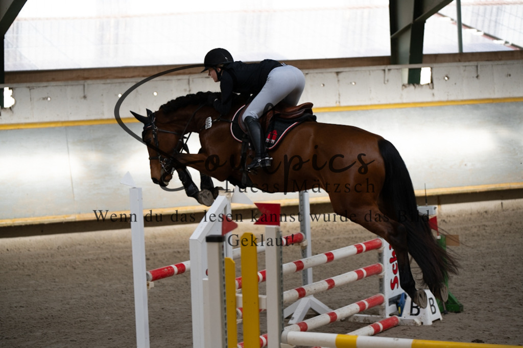 A7V02142 | Pferdefotograf