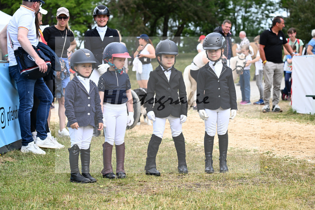 Nuernberger Burg Pokal Fuehrzuegelklasse_11256495 | hf-fotografie - Realizzato con Pictrs.com