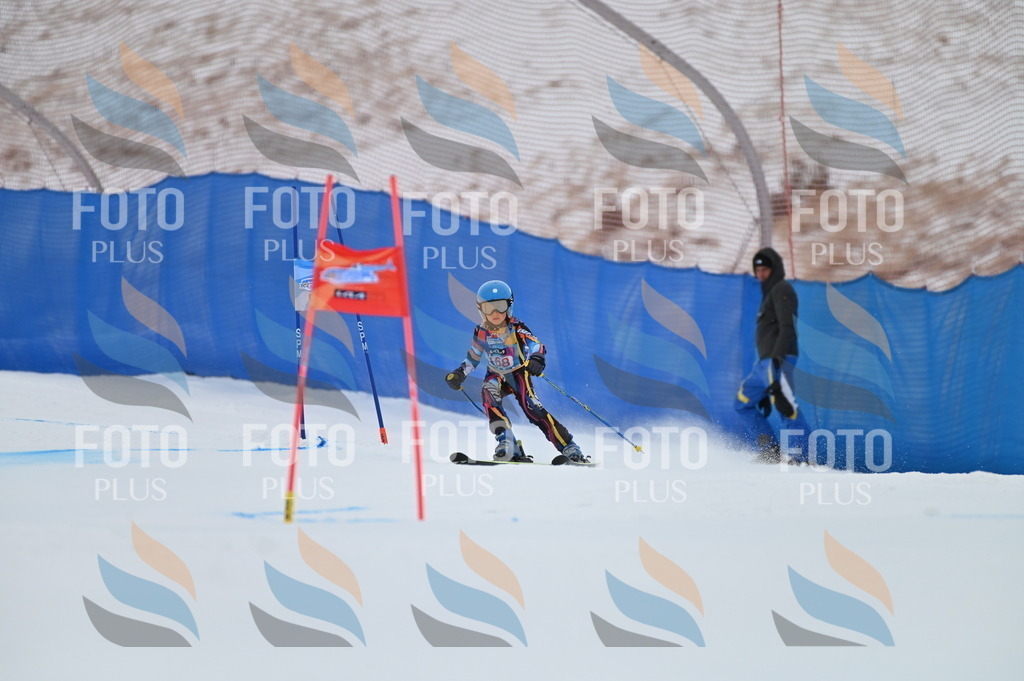 BGV_0041 | holidayphoto