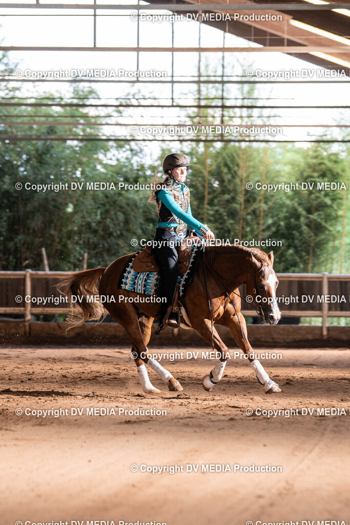 Erbach Tag 2-930 | dv-media-shop - Realisiert mit Pictrs.com