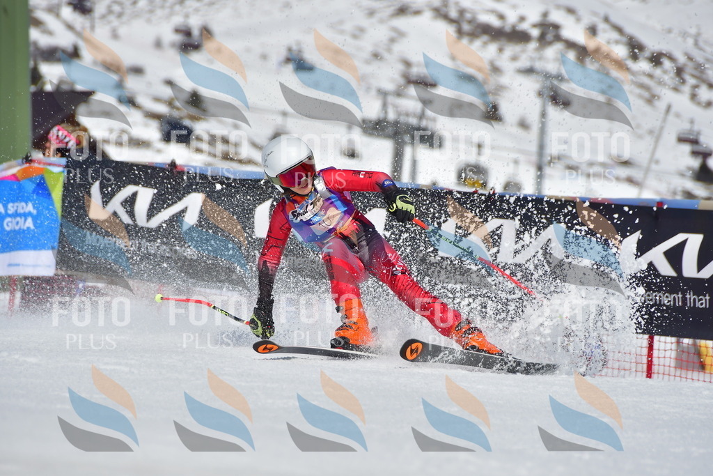 _DSC7643 | holidayphoto