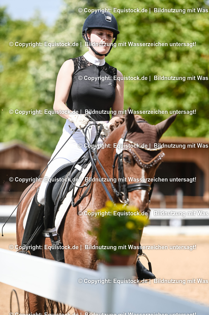 20230716_01_Dressurprüfung Kl.M_0333 | equistock