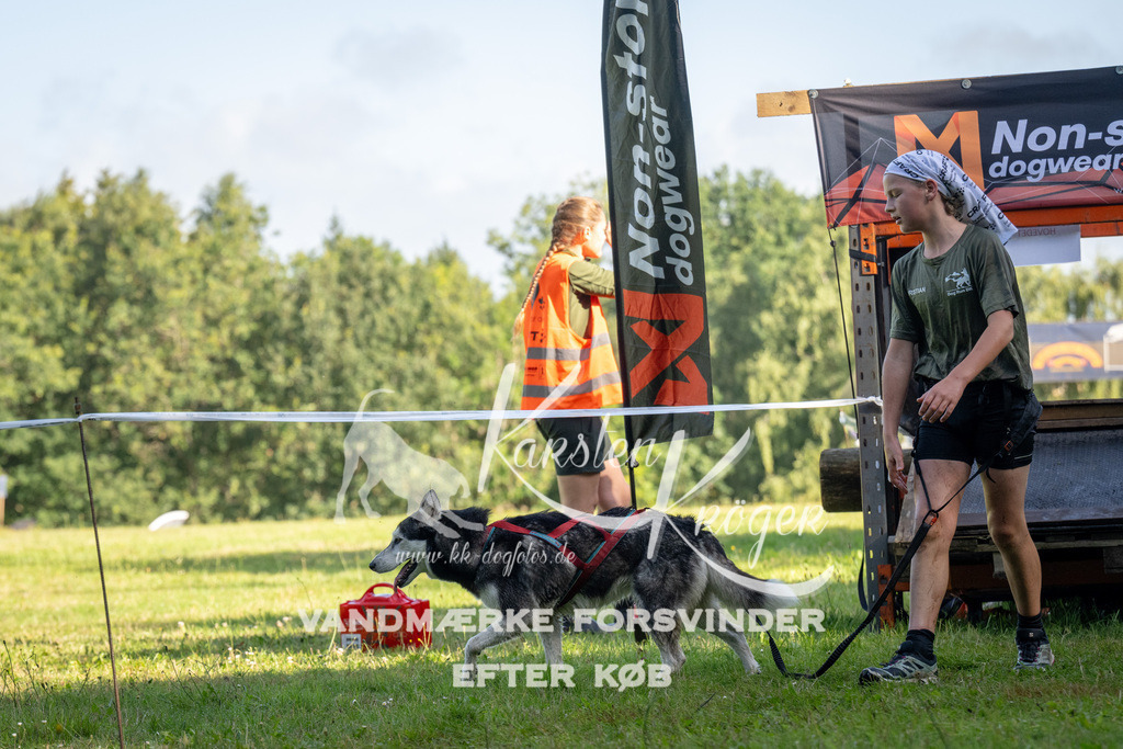 0917_ZZ90648 | kk-dogfotos