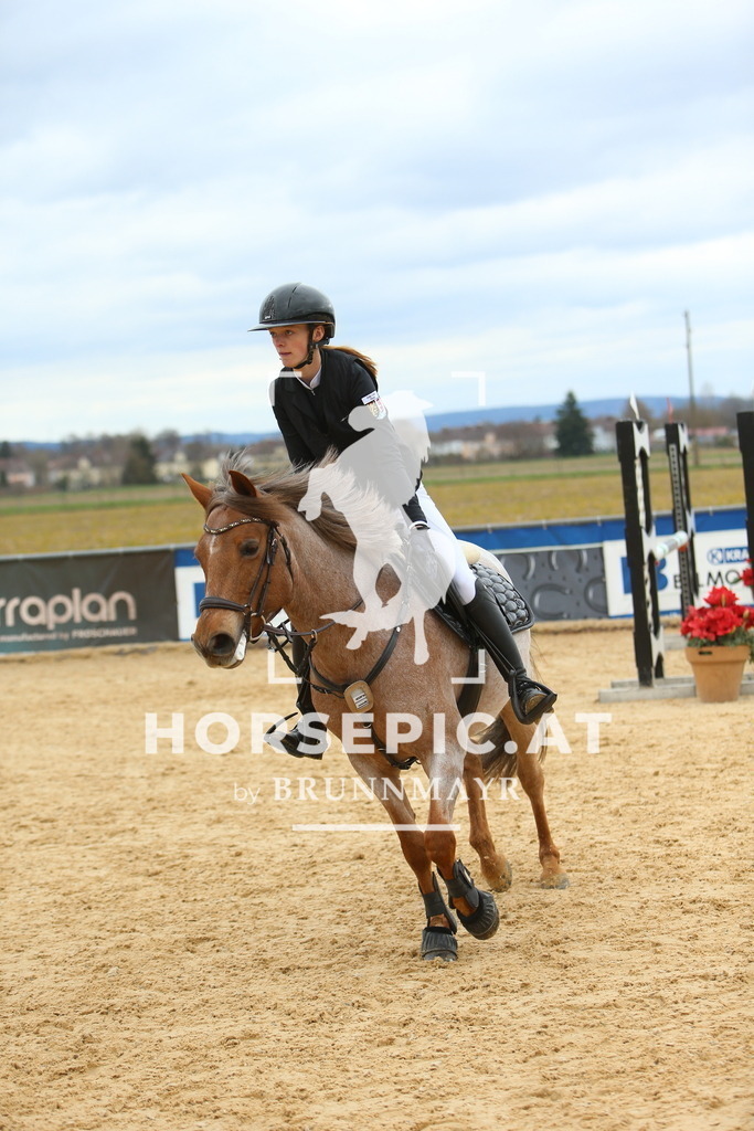 DL2Q2621 | Willkommen bei Brunnmayr - Design & Fotografie – Ihrem Spezialisten für Reitturniere und Pferdeveranstaltungen in Oberösterreich, Salzburg und Bayern! Seit über 17 Jahren sind wir leidenschaftlich dabei.