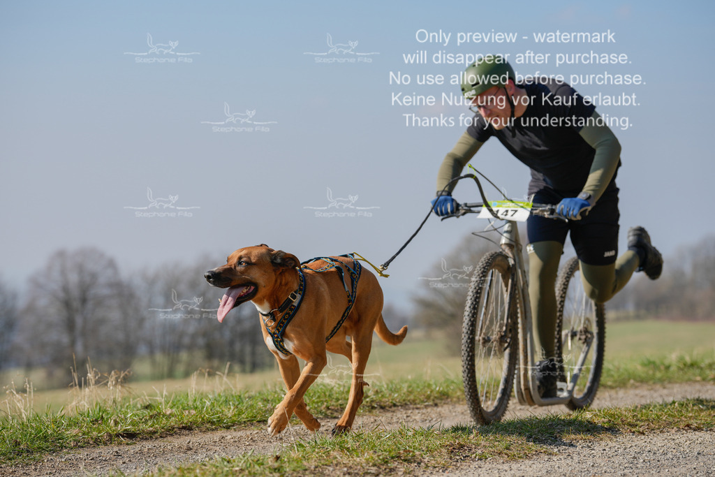 Scooter_Lang-48 | stephaniefillaphotographie - Realisiert mit Pictrs.com