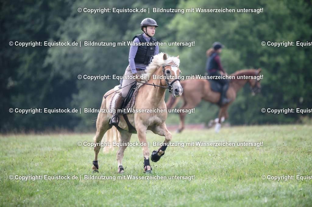20250726_Vielseitigkeitslehrgang-Marbach_0053 | Foto: Thomas Hartig