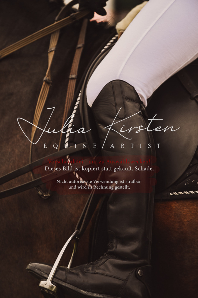 DSC_5069 | Pferde- und Turnierfotografie in Westsachsen. Pferdeportraits, Auftragszeichnungen und intuitive Kunst.