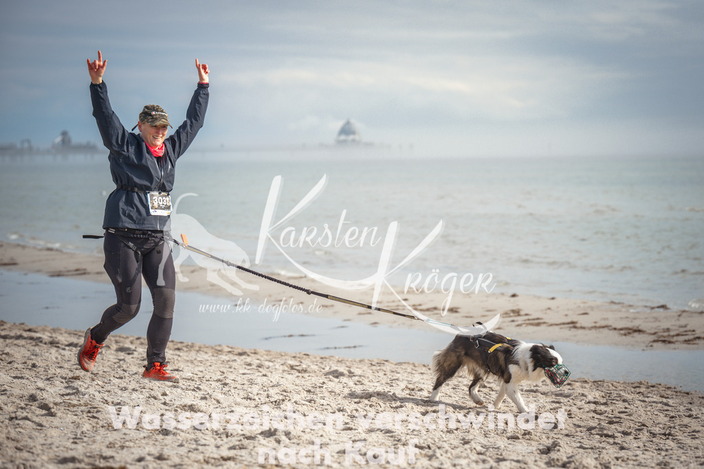 1158_ZZ93143 | kk-dogfotos