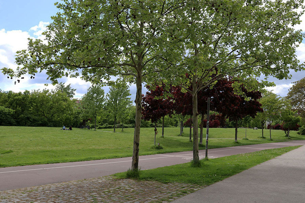 Rabet - Stadtteilpark | Entdecke über 20 Kategorien Leipzig-Motive: Foto-Downloads, hochwertige Poster, Leinwand- & Fine-Art-Prints. Jetzt Lieblingsfoto im Bildlexikon Leipzig Shop bestellen!