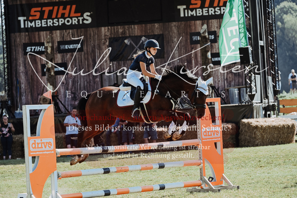 DSC_5855 | Pferde- und Turnierfotografie in Westsachsen. Pferdeportraits, Auftragszeichnungen und intuitive Kunst.