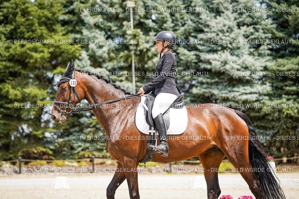 DSC03678 | Pferdegrafie