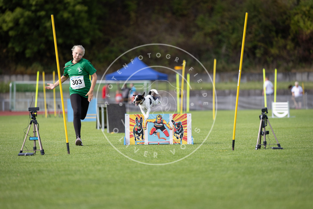 Pfotenfotografie_DV3A1237 | Hundefotografie, Tierfotograf, Pfotenfotografie, Fotoshooting Hund, Hunde Portrait, Hundesport, Hundeportraits, Heideshooting, Hunde, Sportfotograf, Hundefotograf, Turnierhundsport, THS,  - Realisiert mit Pictrs.com