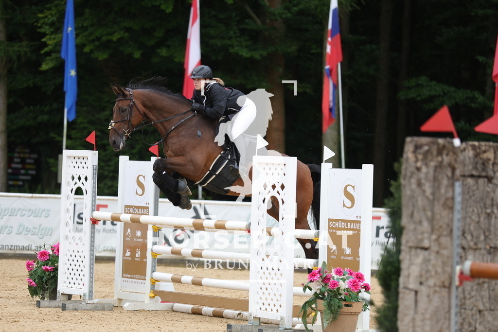 0P6A2809 | Willkommen bei Brunnmayr - Design & Fotografie – Ihrem Spezialisten für Reitturniere und Pferdeveranstaltungen in Oberösterreich, Salzburg und Bayern! Seit über 17 Jahren sind wir leidenschaftlich dabei.