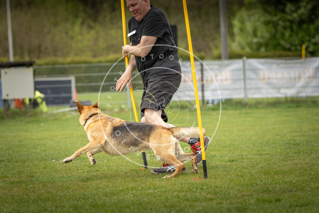 Pfotenfotografie_DV3A2233 | Hundefotografie, Tierfotograf, Pfotenfotografie, Fotoshooting Hund, Hunde Portrait, Hundesport, Hundeportraits, Heideshooting, Hunde, Sportfotograf, Hundefotograf, Turnierhundsport, THS,  - Realisiert mit Pictrs.com
