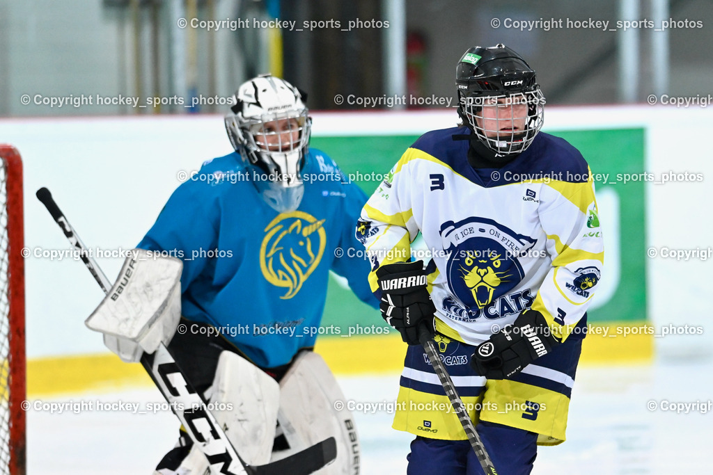 BST_6378 | hockey sports photos, Pressefotos, Sportfotos, hockey247, win 2day icehockeyleague, Handball Austria, Floorball Austria, ÖVV, Kärntner Eishockeyverband, KEHV, KFV, Kärntner Fussballverband, Österreichischer Volleyballverband, Alps Hockey League, ÖFB, 