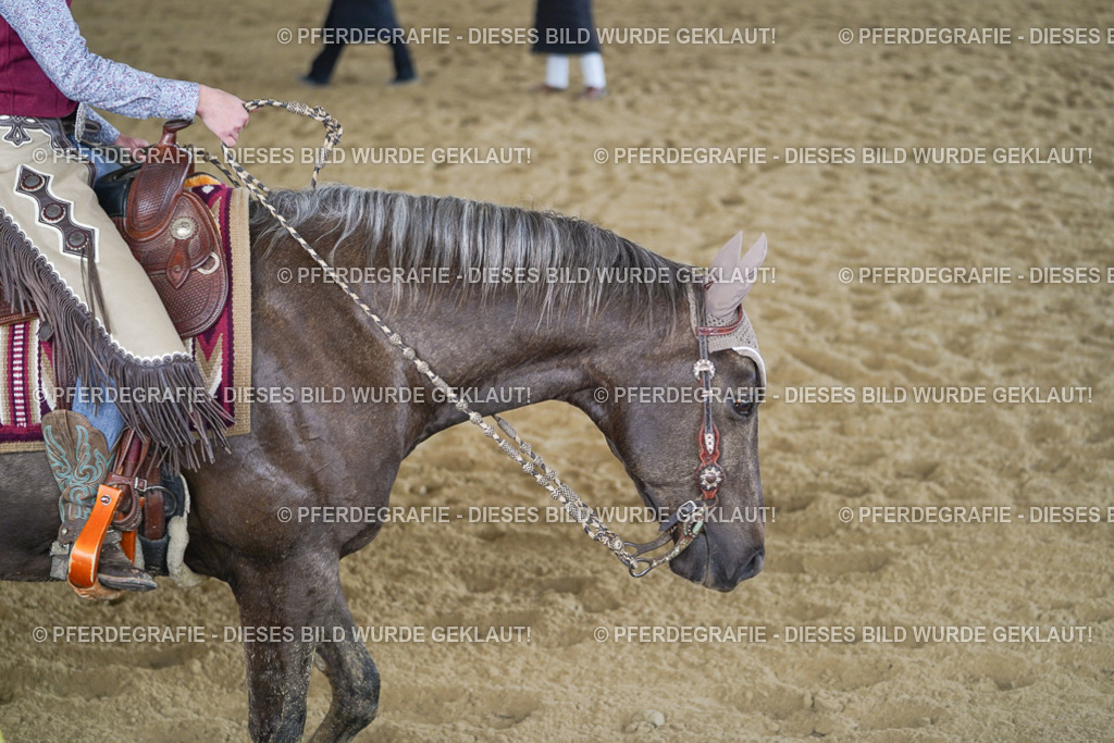 DSC08651 | Pferdegrafie