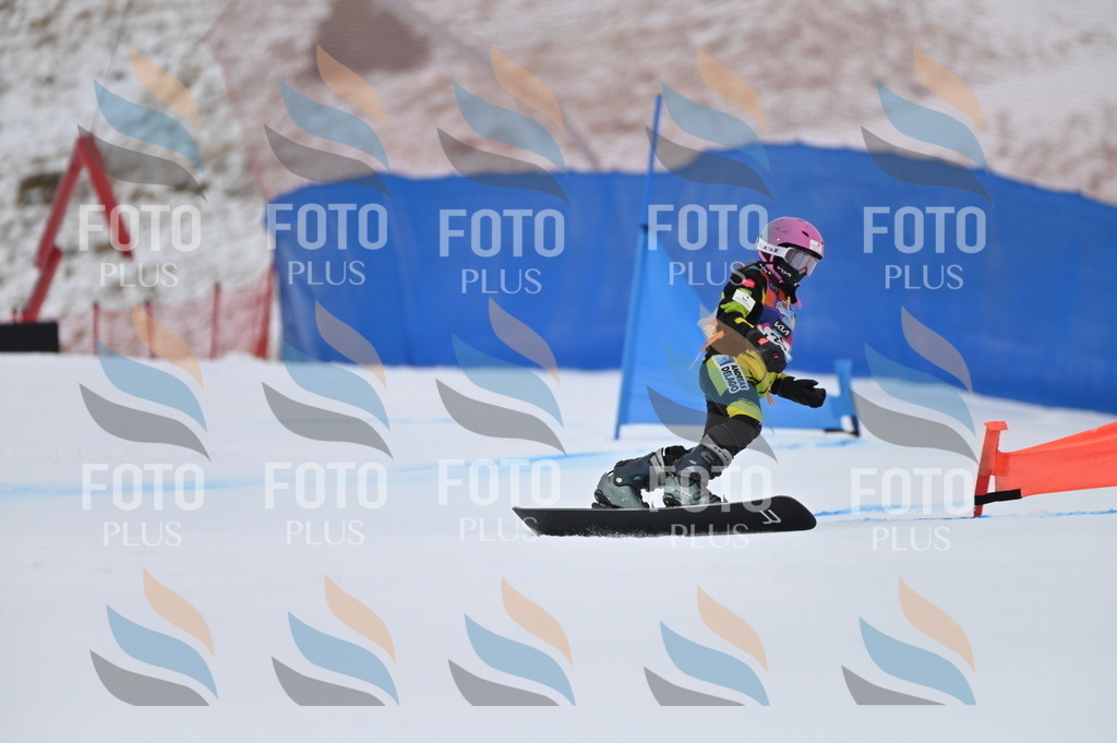 BGV_4912 | holidayphoto