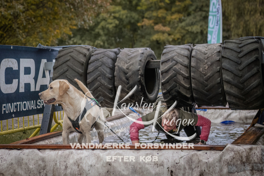 1659_ZZ94583 | kk-dogfotos