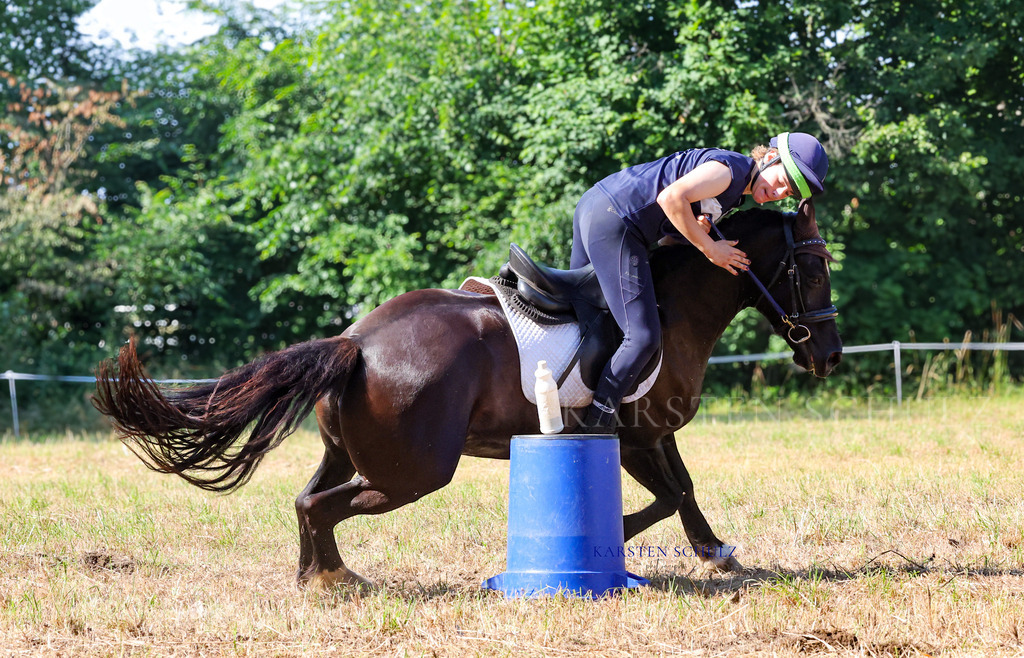 1B3A8100 | Reitsport Reiten