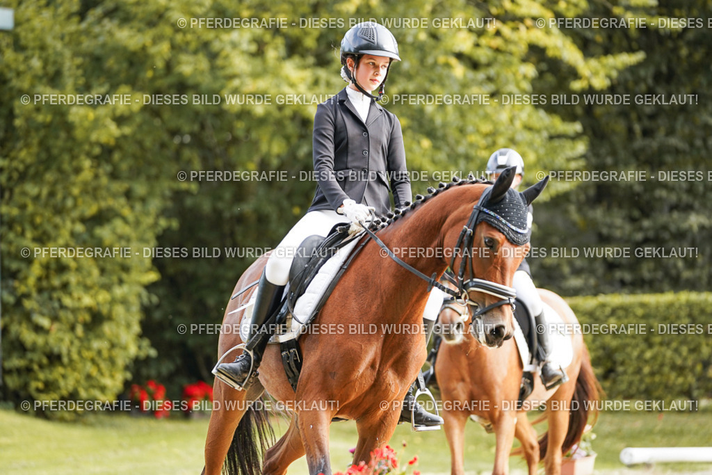 DSC05453 | Pferdegrafie