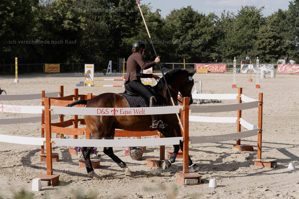 WS_SP_111_SinaFilmArt_IN09152 | working equitationturnier fotograf videograf stoibphotography marixx film working equitation deutschland reitsport turnierfotografie eventfotografie equestrian events