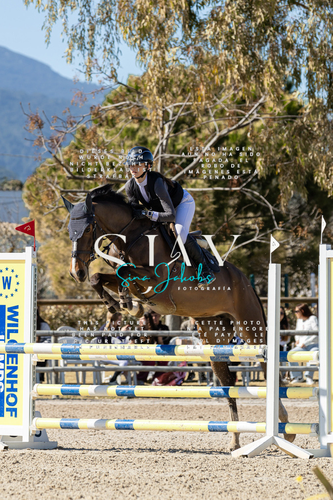 IMG_0702 | s-jay-photography - Realisiert mit Pictrs.com