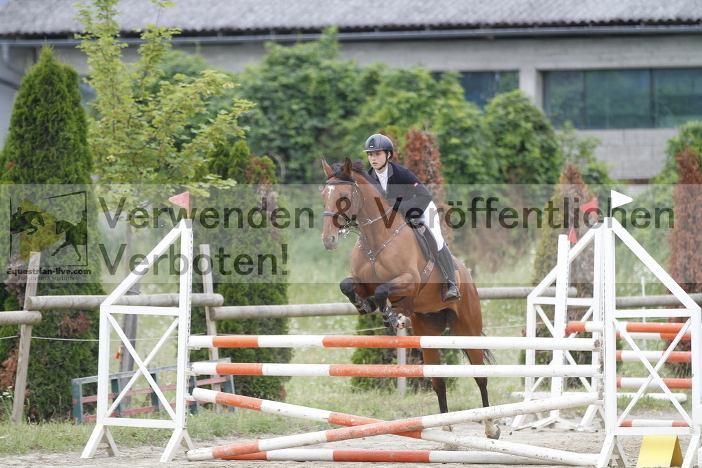 _MG_0239 | equestrian-live-com