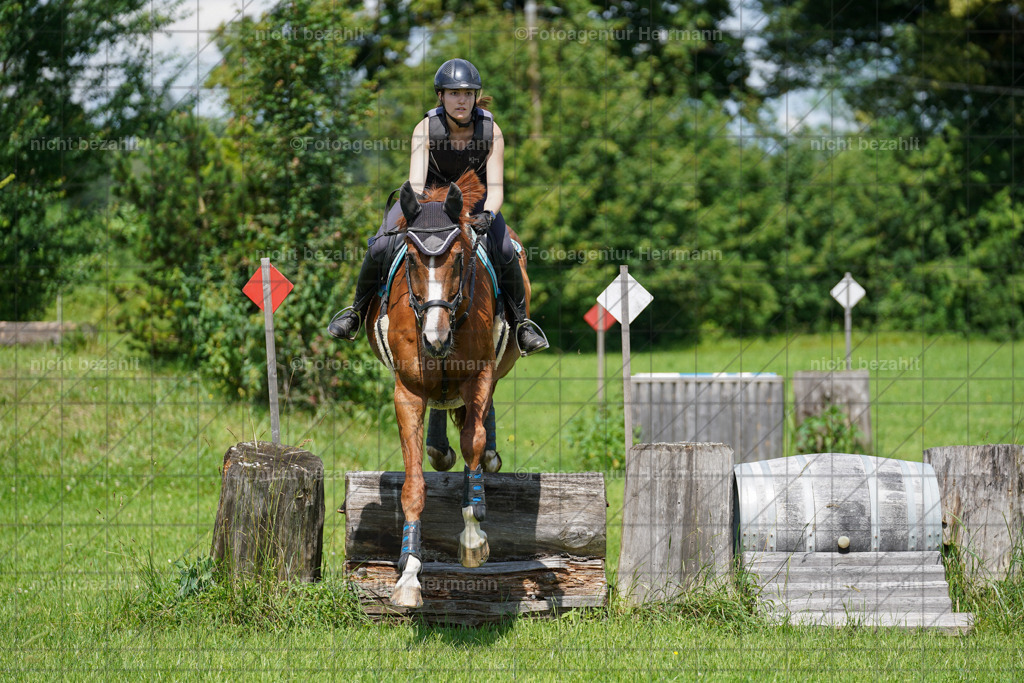 20240622-FAH06828 | Turnierfotografen Bayern, Reitsportbilder aus dem Geländekurs mit Felix Etzel auf dem Gut Waitzacker 2024