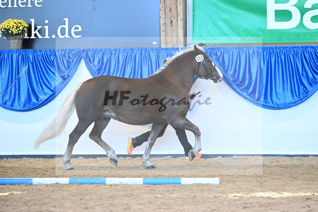 Kat-Nr. 111 Feine Lioba_ZG Schmidt-Schroeder_53220795 | hf-fotografie - Realizzato con Pictrs.com
