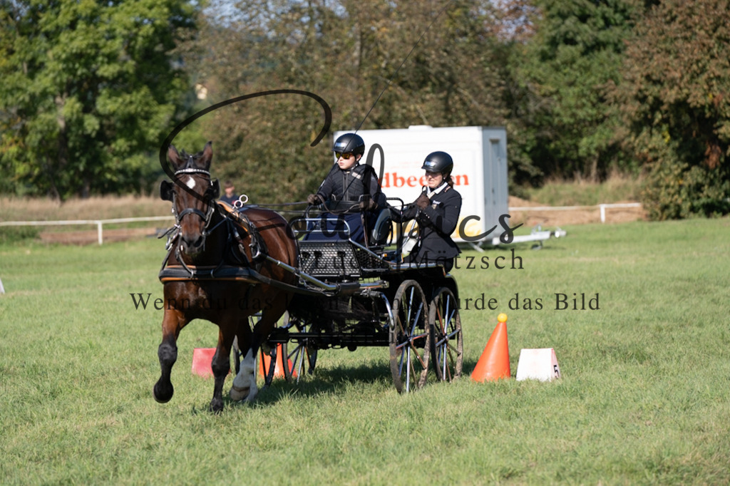 A7V04345 | Pferdefotograf