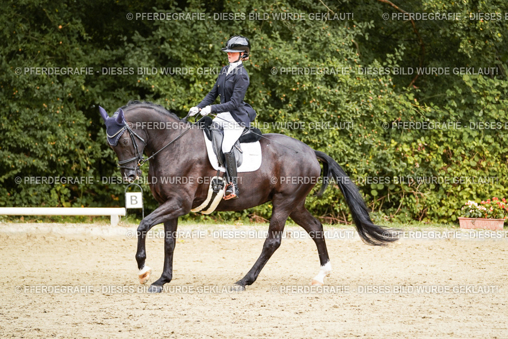 DSC09983 | Pferdegrafie