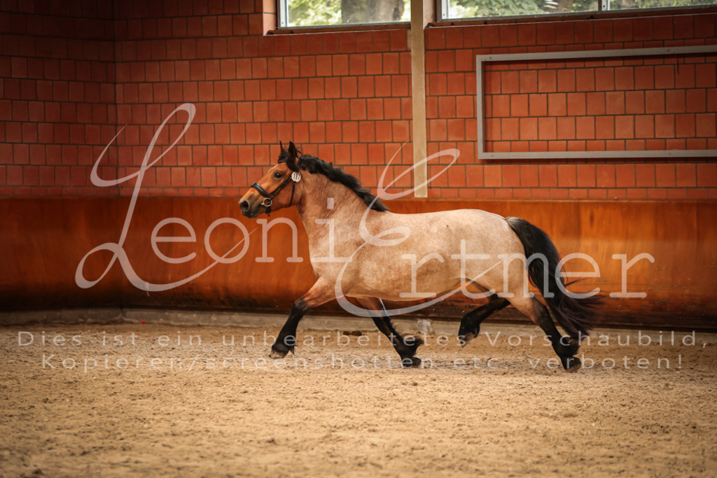 SaFL00356 | Leoni Ertmer Photography - Realisiert mit Pictrs.com