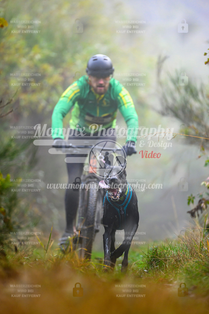 MompixPhotography_20TSB_E4_Bike-84 | PayLife