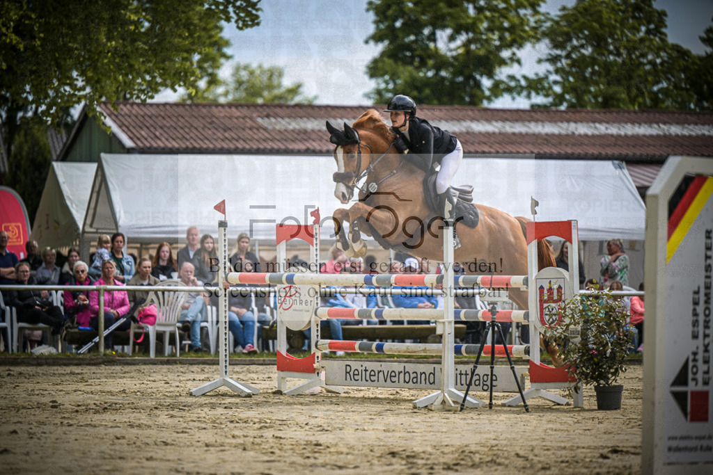DOS_1622 | Entdecke hochwertige Reitturnierfotos von Foto Oger. Professionell, emotional und authentisch – jetzt Lieblingsmomente im Shop bestellen.Deutschlandweite Turnierfotografie. - Realized with Pictrs.com